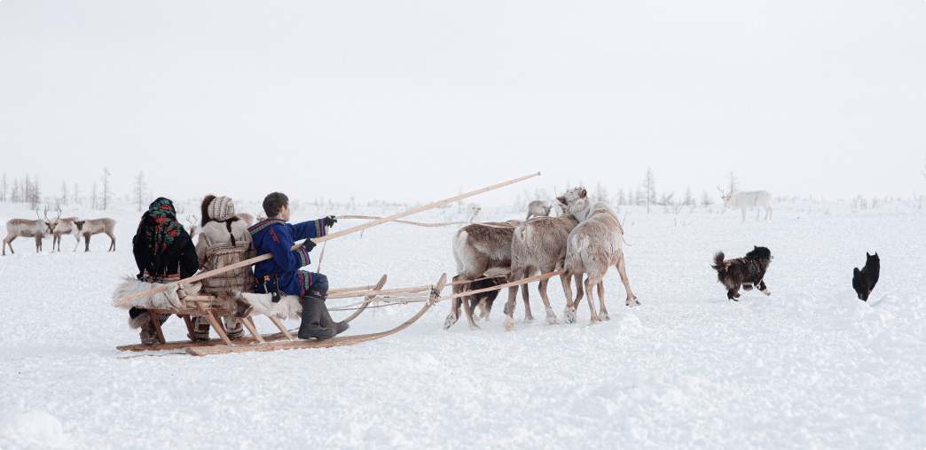 Языковой информационно-просветительский портал «Дети Арктики»